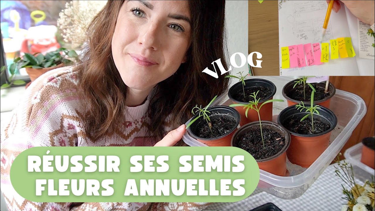 Semis fleurs annuelles - Part. 1 - idéal débutant - VLOG