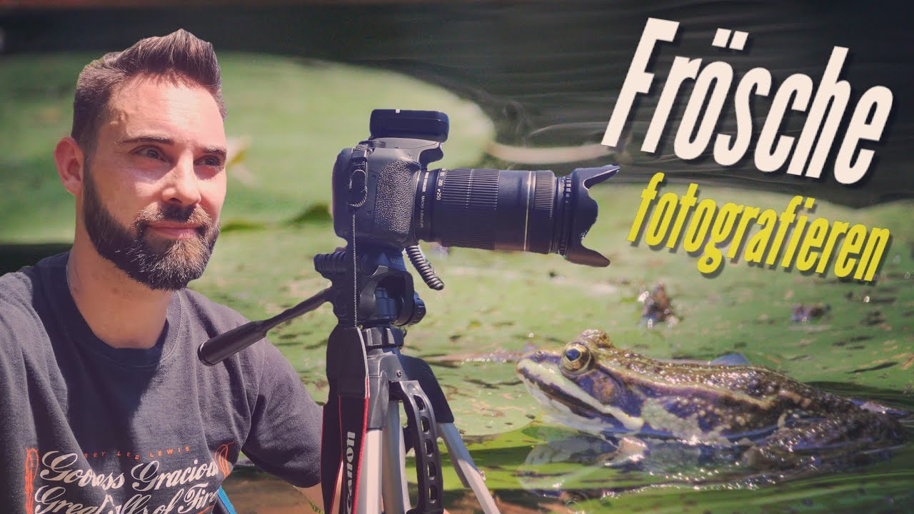 Frösche fotografieren in der Lobau