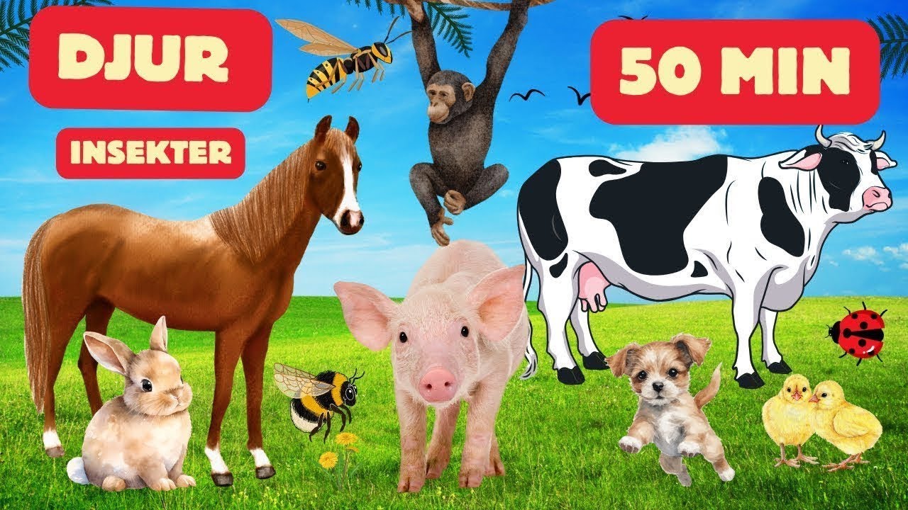 Namn På Djur & Insekter | På Svenska | Pedagogisk Video För Barn | Roligt Lärande 