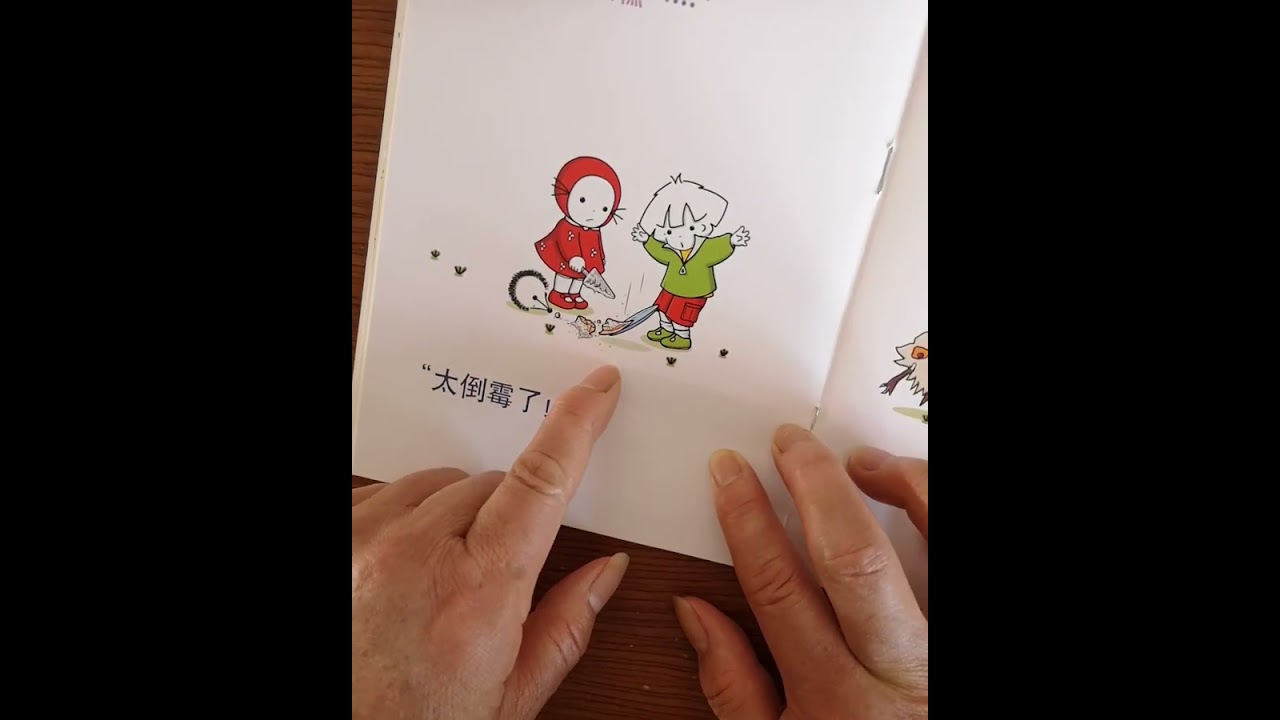 Chinesische Kindergeschichten/ Chinese Children Story/ 故事书阅读