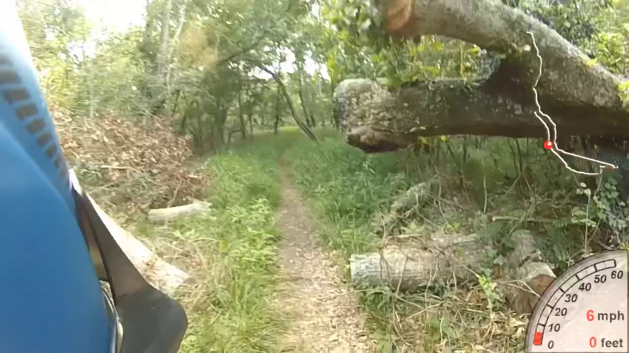 Bush Park Bike Trails