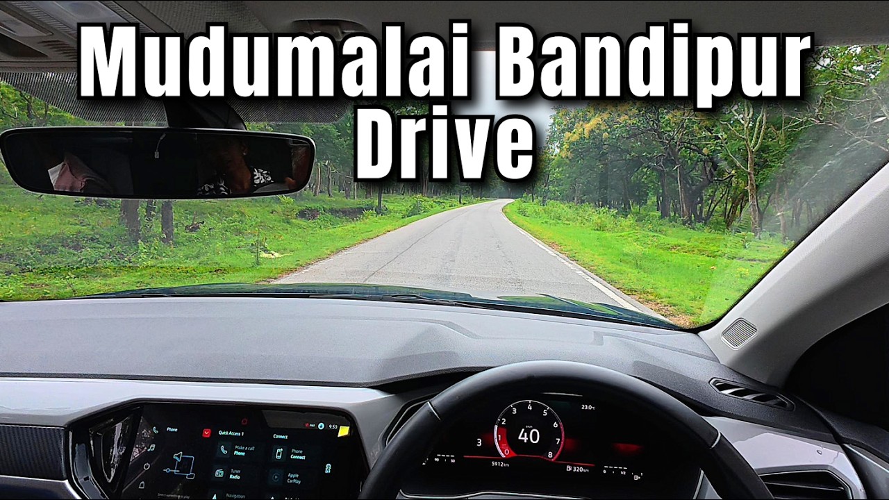 Wild Safari Drive (Raw Footage) | Mudumalai to Bandipur Tiger Reserve