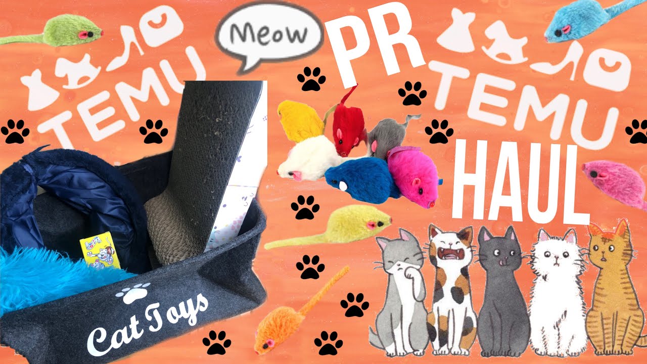Affordable Pet Supplies 🐱🐾 Temu Pr Haul #temu #temuhaul