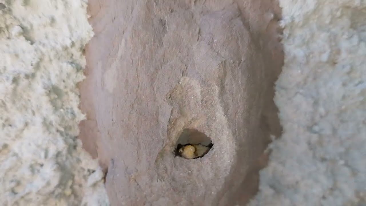 como é uma casa de barro da vespa por dentro?