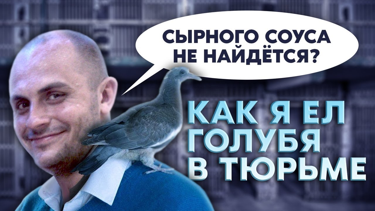 КАК ПРИГОТОВИТЬ ГОЛУБЯ НА СТРОГОМ РЕЖИМЕ