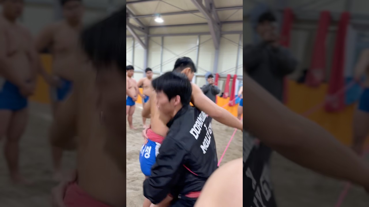 Korean wrestling! Ssireum🤼‍♀️ 