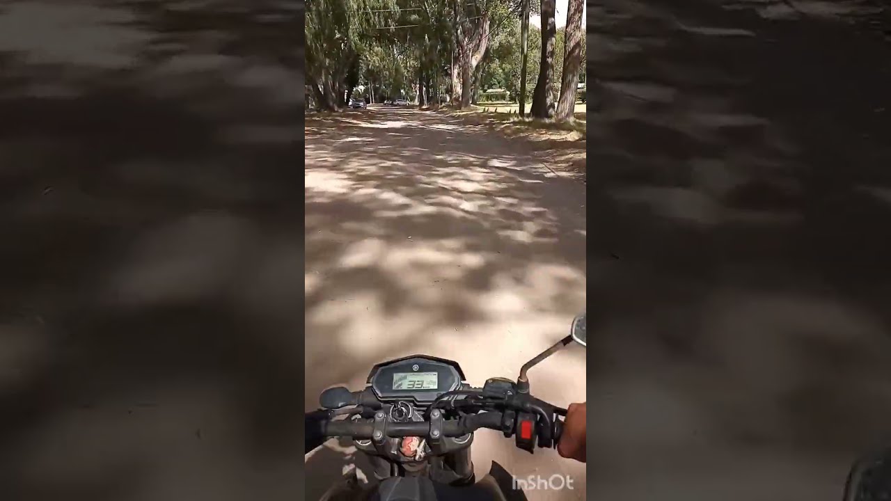 Moto y bosque 