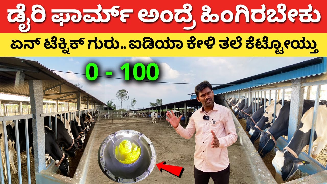 ಏನ್ ಟೆಕ್ನಿಕ್ ಗುರು ಸೂಪರ್ ಐಡಿಯಾ| Dairy farm in Karnataka | farming business ideas hainugarike #kannada