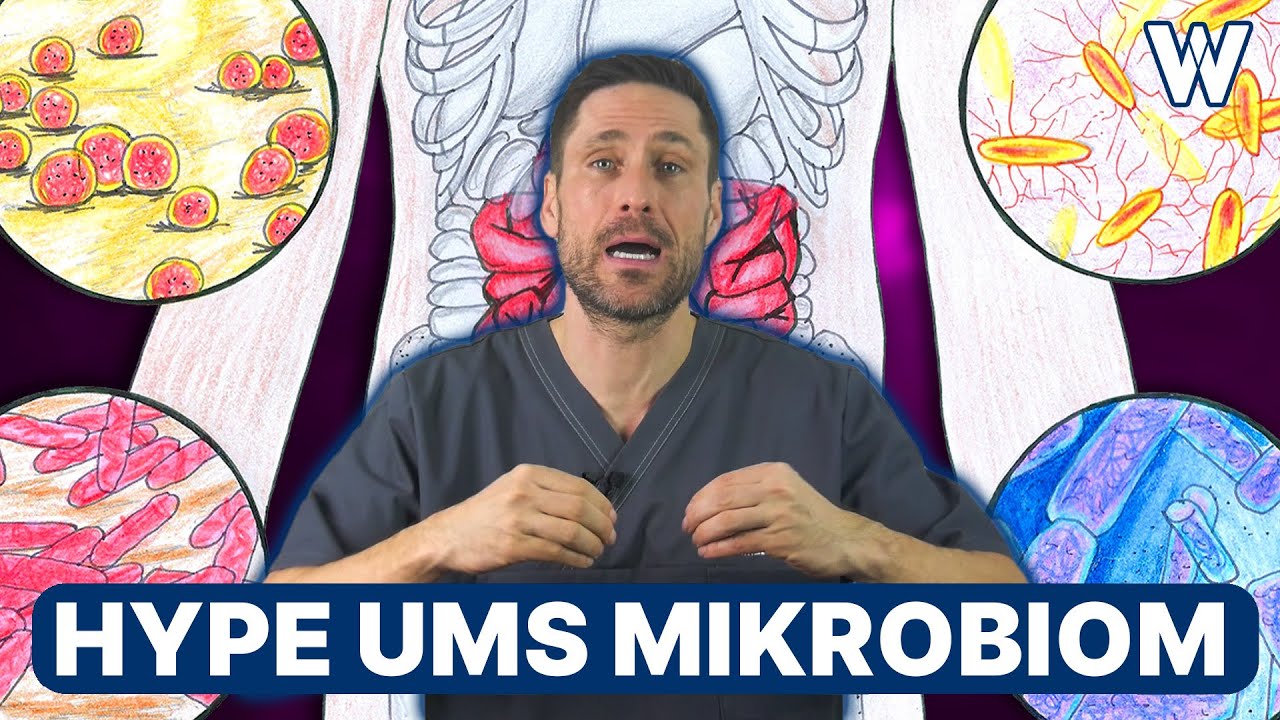 Mikrobiom: Fakten & Wahrheit &uuml;ber unsere Darmflora aus &auml;rztlicher Sicht (Immunsystem? Krankheiten?)