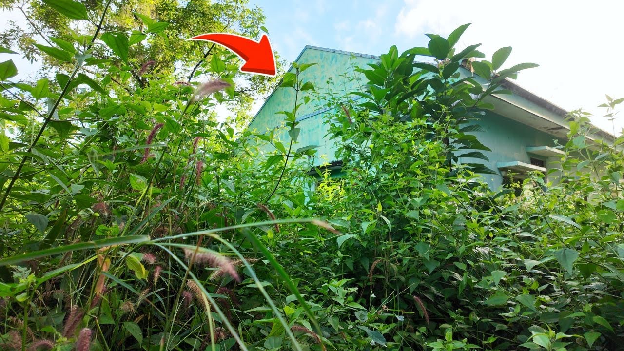 30 Hours Quickly Transforms a DEAD HOUSE in 20 Minutes Time Lapse