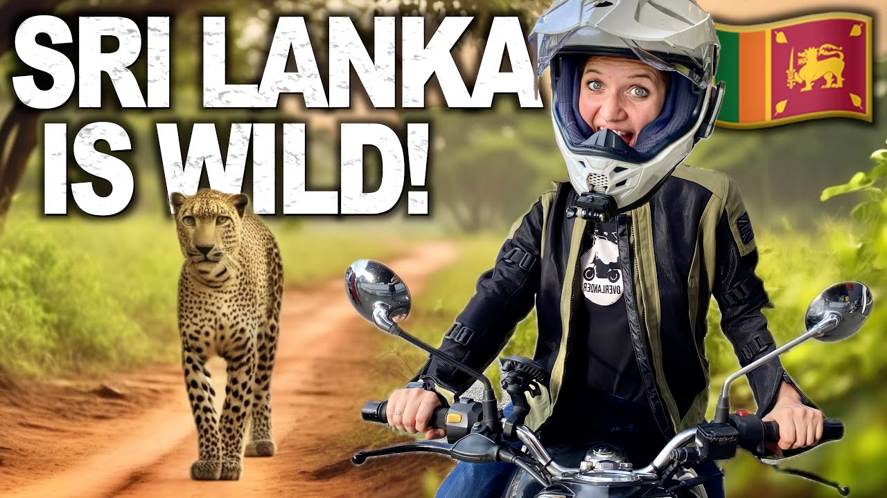 9🇱🇰 Is Sri Lanka the BEST SAFARI Outside Africa?