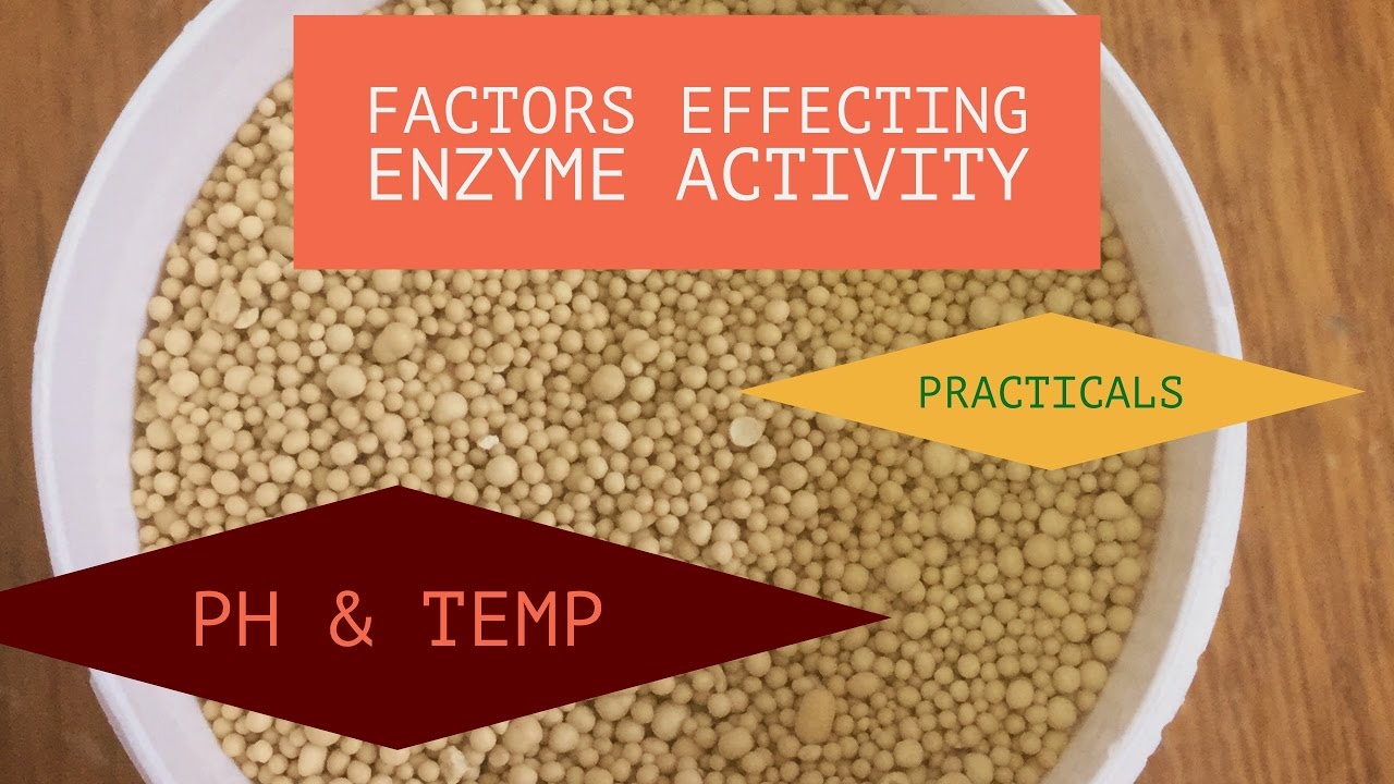 Practicals on Factors Effecting Enzyme Activity.