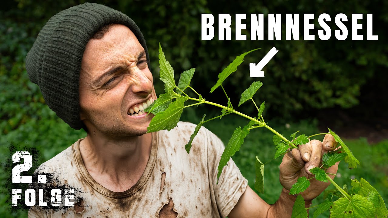 Schaffen wir es, einen Tag nur BRENNNESSELN zu essen? | Tag 2/100 autark