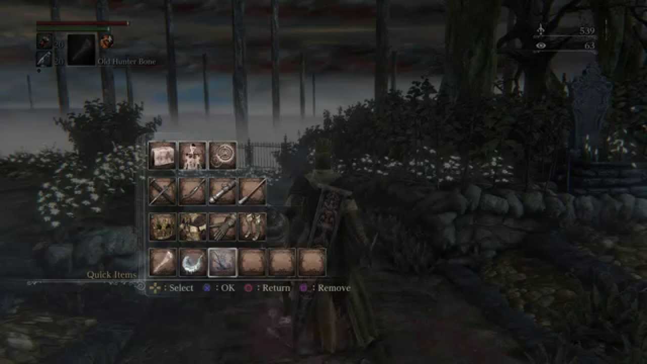 Bloodborne - Hunter's Dream: Up Arcane to 15 (Old Hunters Bone, Empty Phantasm Shell & Beast Roar)