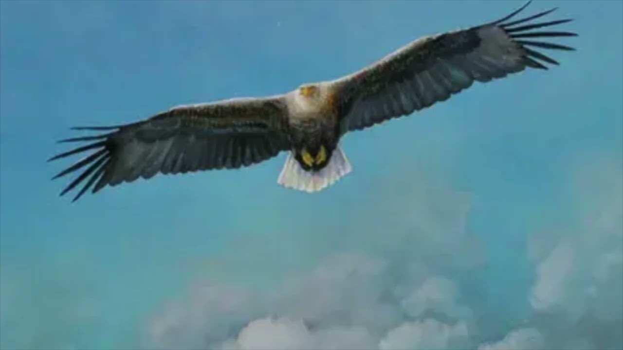 En fugl kan flyve - Single