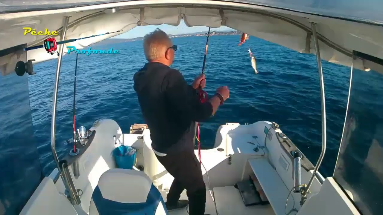 Pêche au Madaï et Tenya de (AS fishing 83) au Large de Toulon .