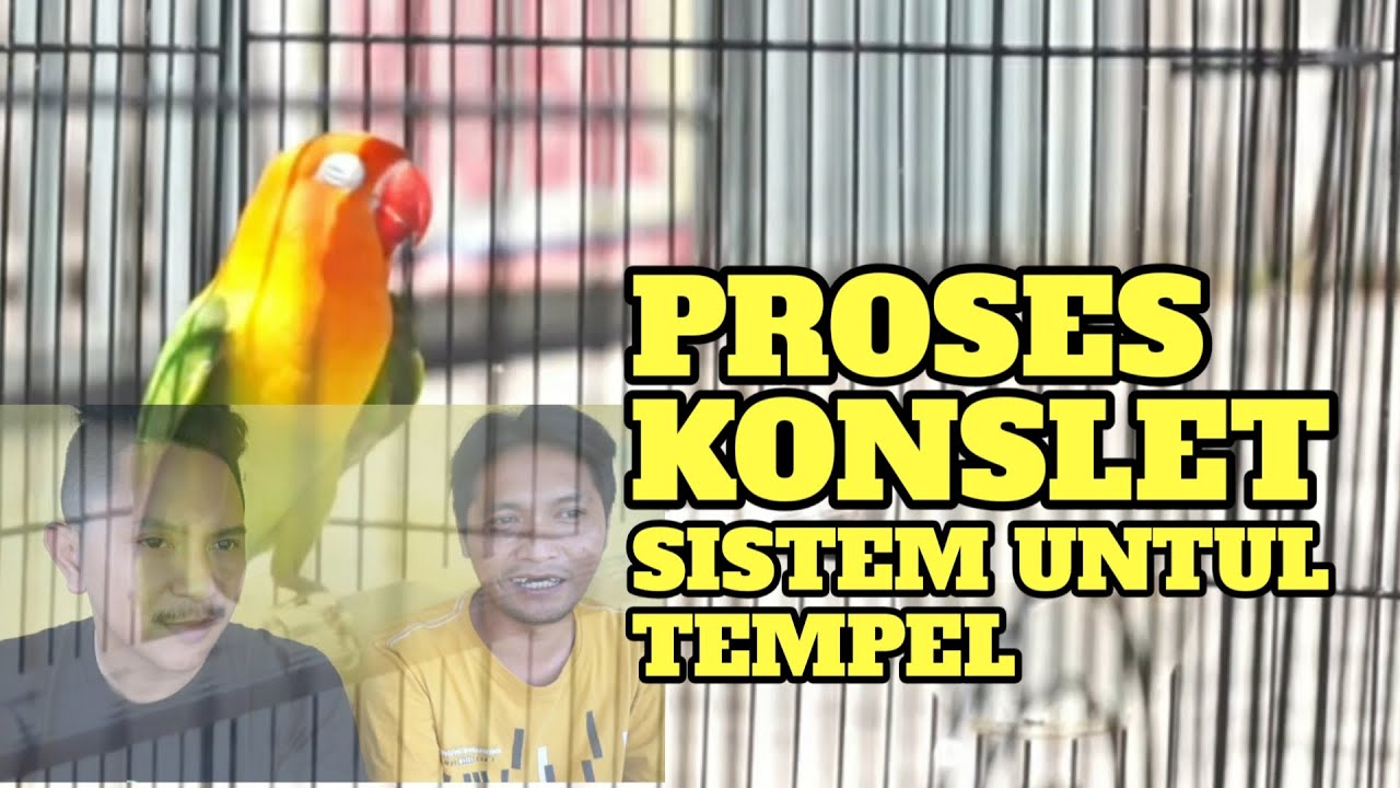 PROSES KONSLET , SISTEM UNTUL TEMPEL | GRC MALANG part 2