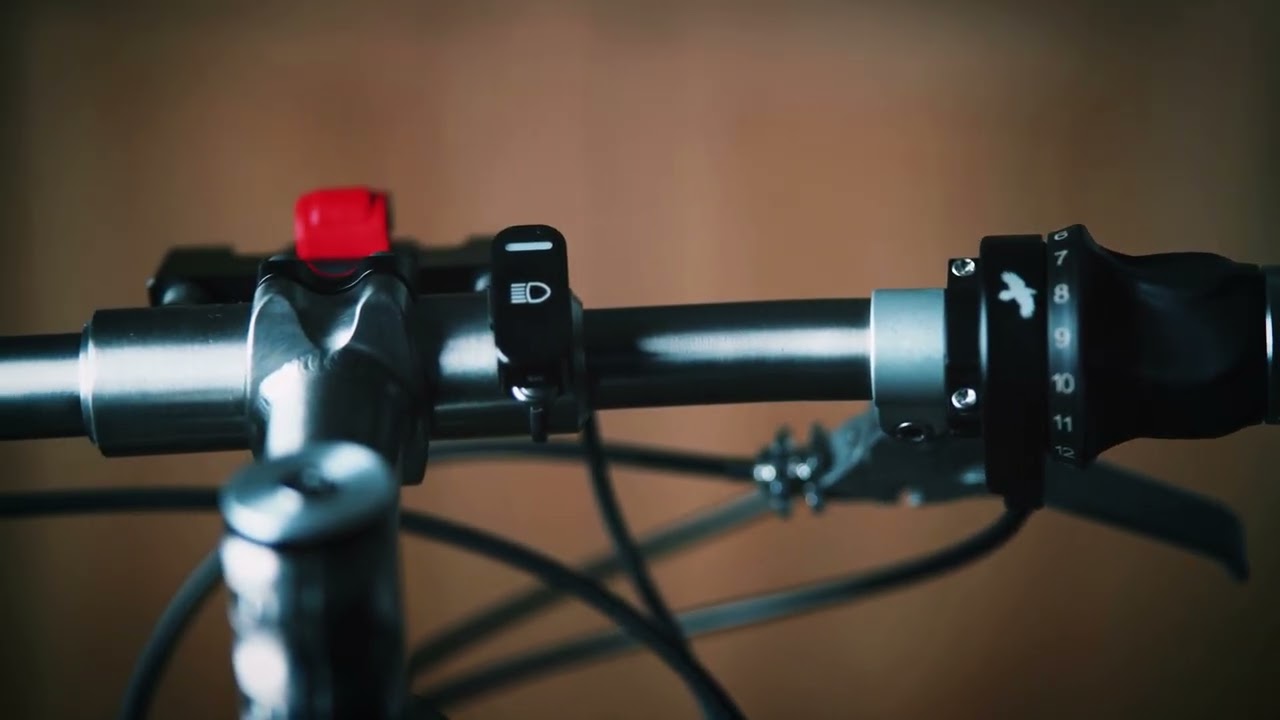 handmade luxury Titanium Travel bicycle 