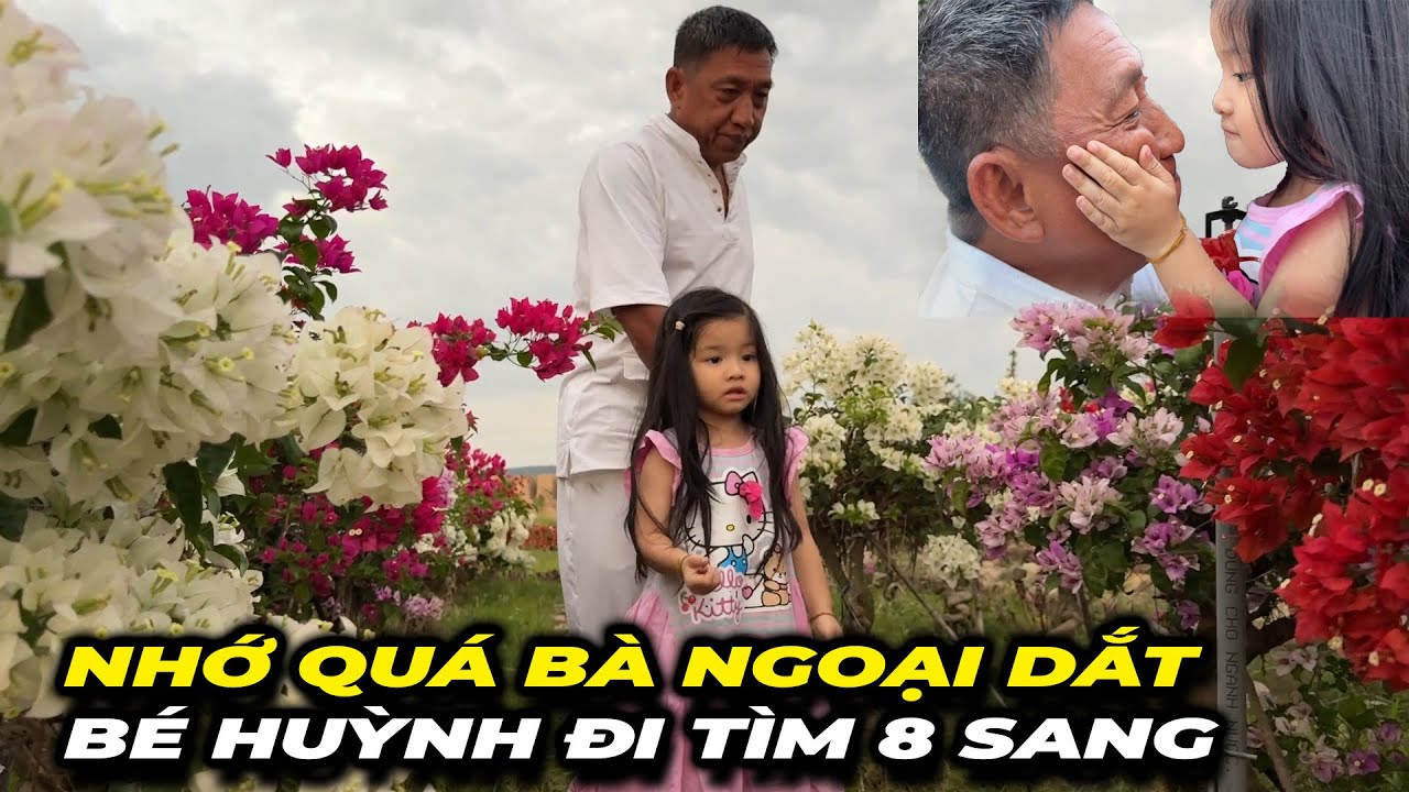 NHỚ QUÁ BÀ NGOÀI DẮT BÉ HUỲNH ĐI TÌM 8 SANG