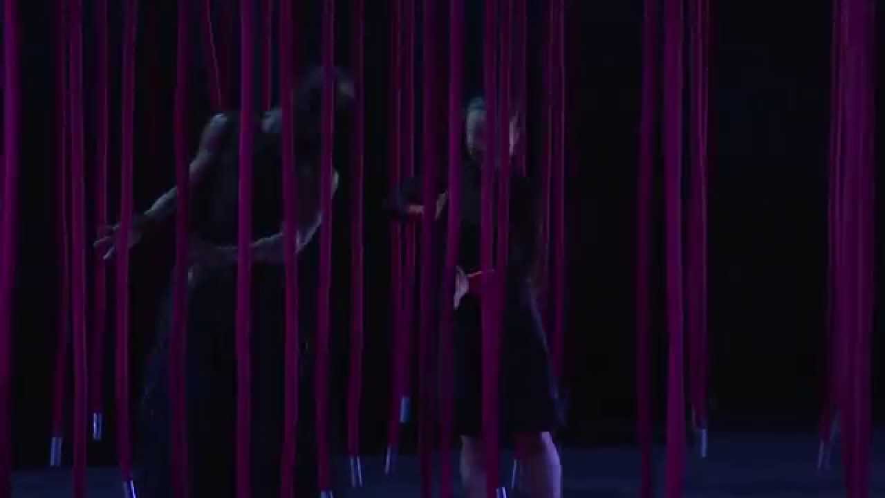 Conny Janssen  Danst: Inside Out