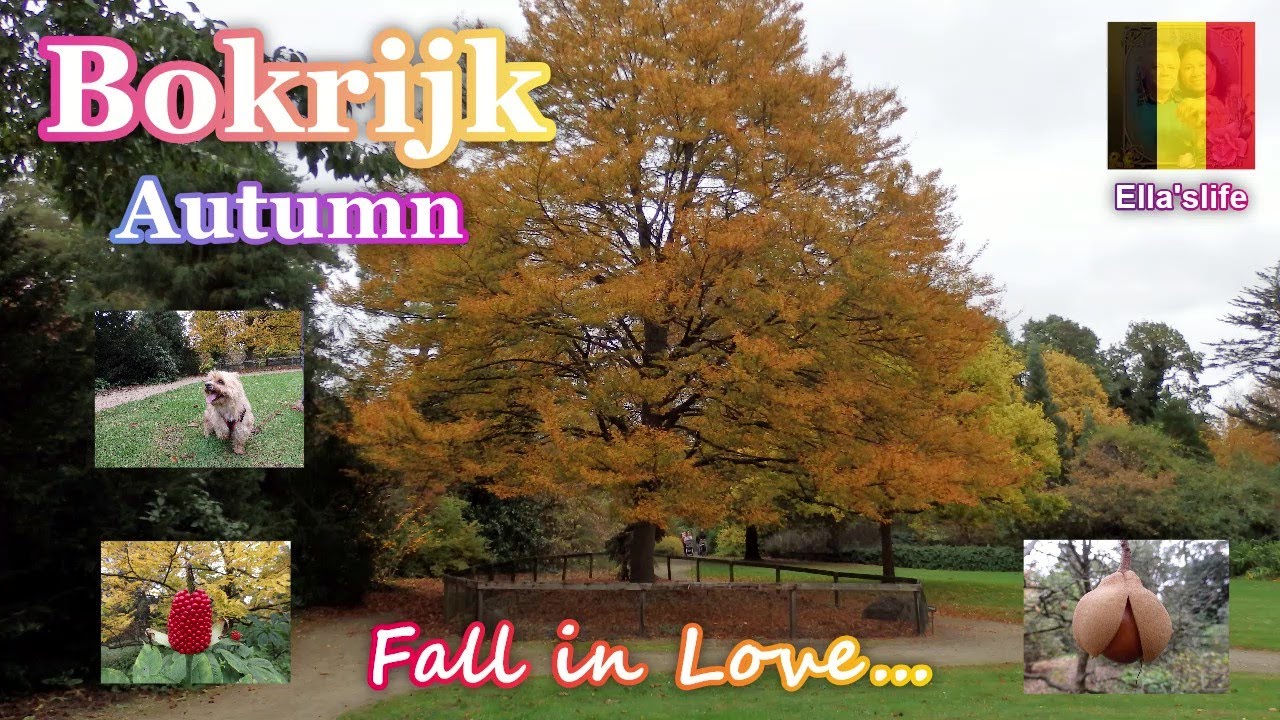 A WALK AROUND BOKRIJK // TAKE A HEALTHY WALK OR BIKE RIDE IN THE BEAUTIFUL NATURE // LIMBURG-BELGIUM