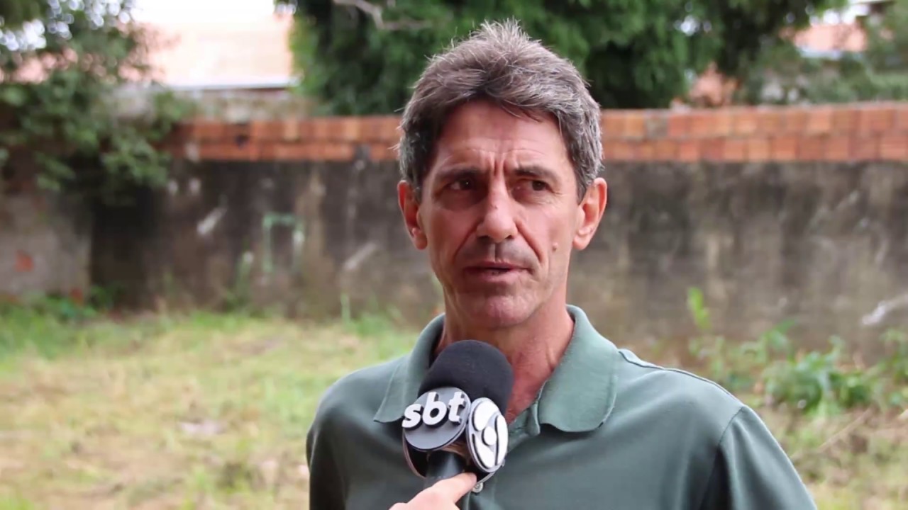 Saiba como combater o Caramujo Africano