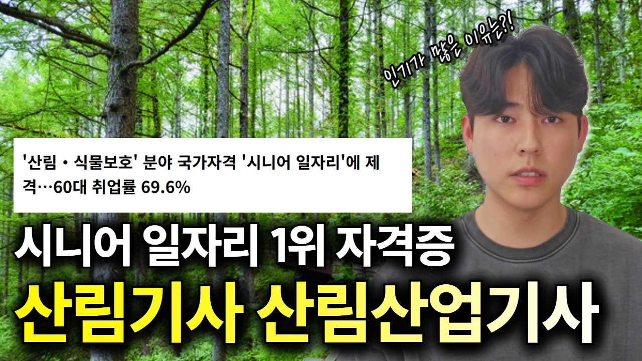 시니어 일자리 1등 자격증!ㅣ산림기사 산림산업기사ㅣ취업, 전망, 응시자격 등