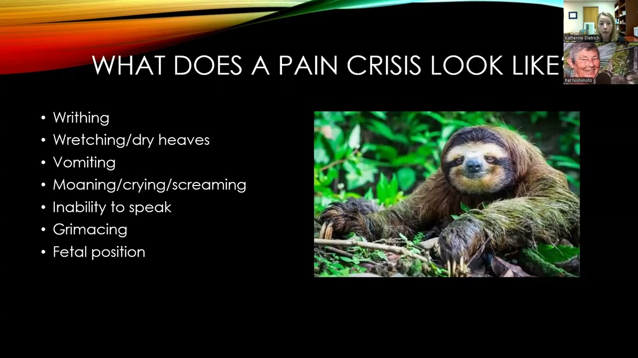 GR 9 9 24 Pain and Symptom Crisis Management