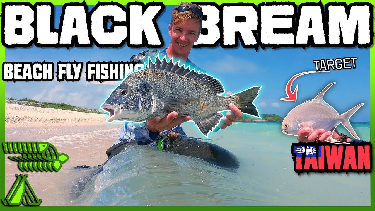 Beach Fly Fishing!