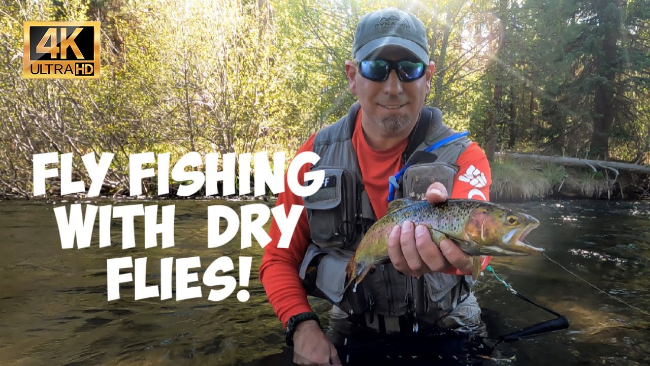 Fly Fishing For Wild Trout On A STUNNING Mountain Stream With Dry Flies! 4K