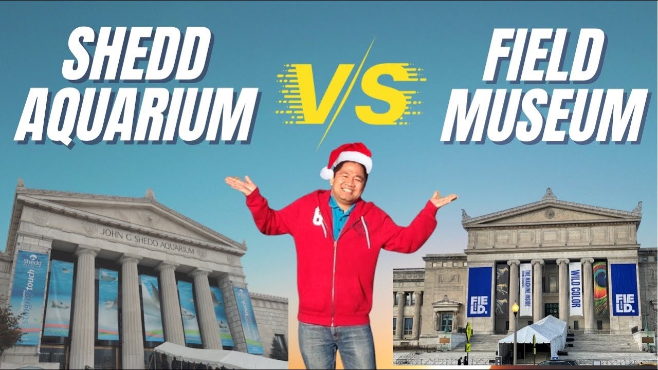 Is Shedd Aquarium or Field Museum better?