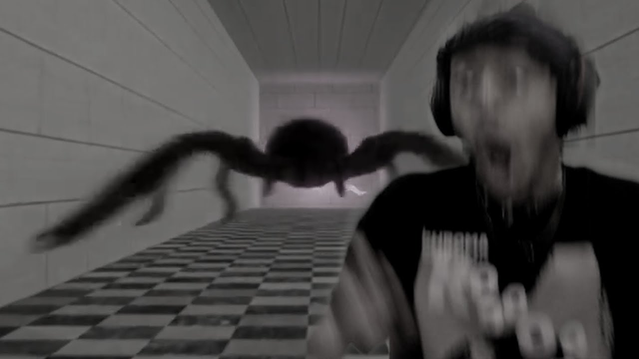 I HAVE ARACNOPHOBIA WHY AM I PLAYING THIS