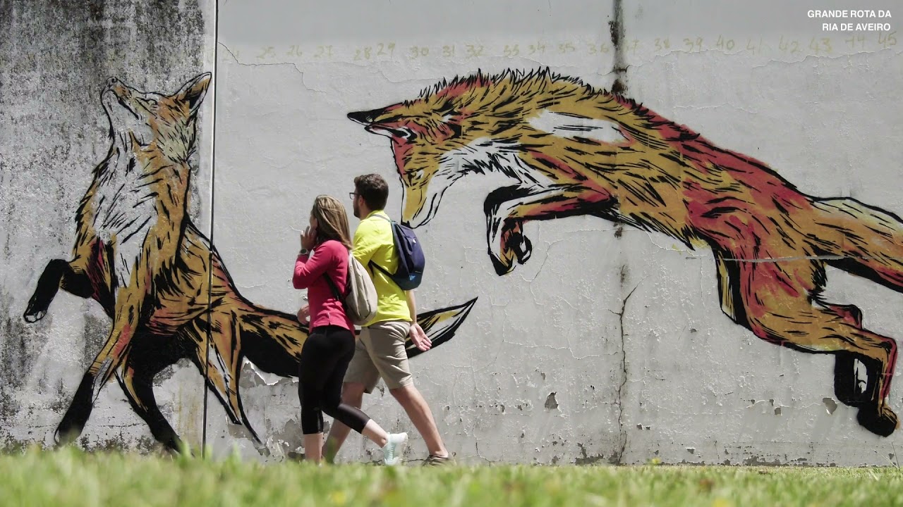 Grande Rota da Ria de Aveiro - Explore os nossos percursos e viaje pelos seus sentidos!