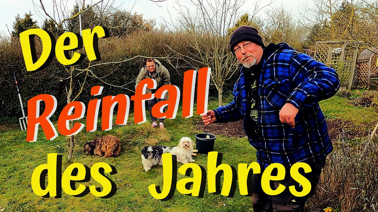 Der Reinfall des Jahres? Ein Gartentag im April / Anzuchtplatten, Tomatenaussaat, Jungpflanzen...
