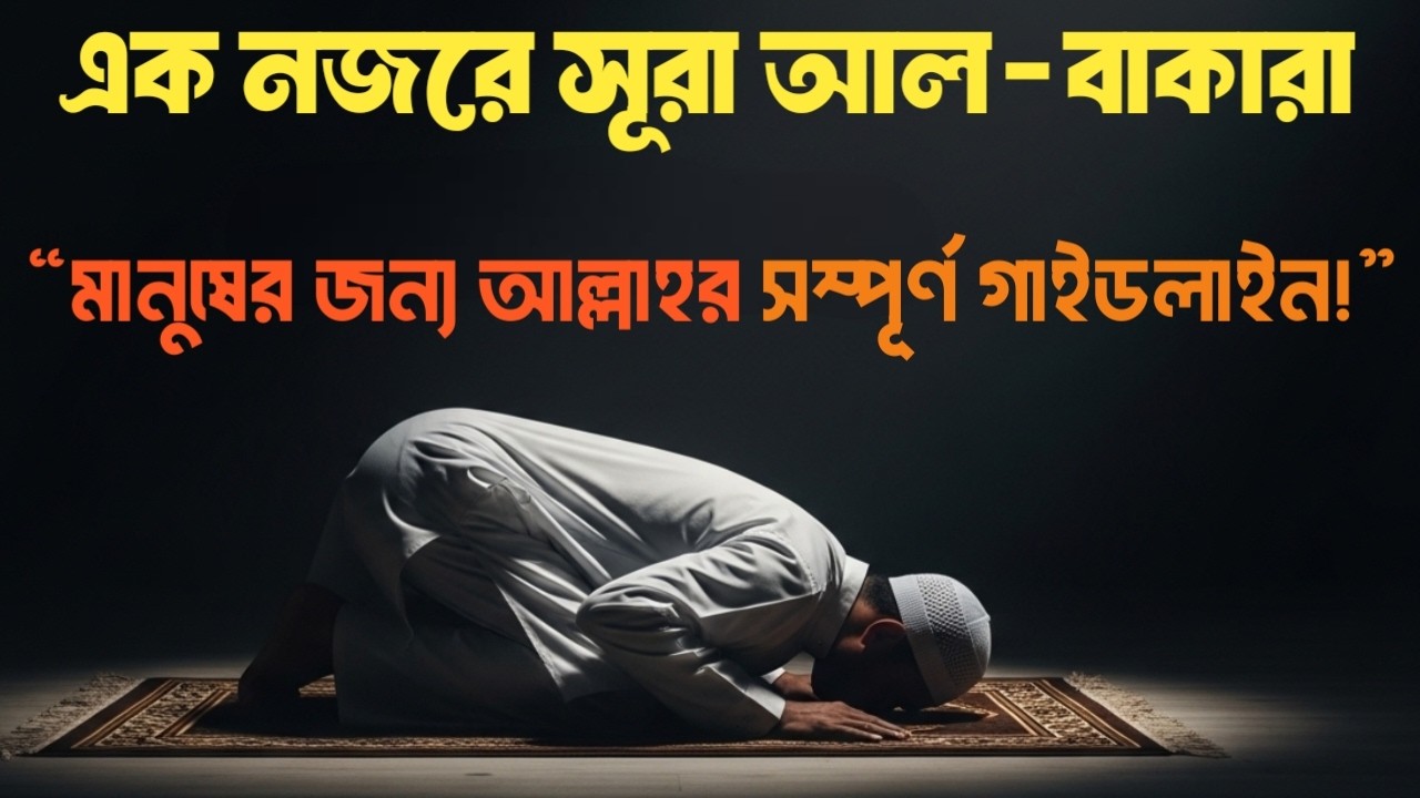 সূরা আল-বাকারা: কুরআনের সবচেয়ে বিস্ময়কর সূরা | এক নজরে কুরআন