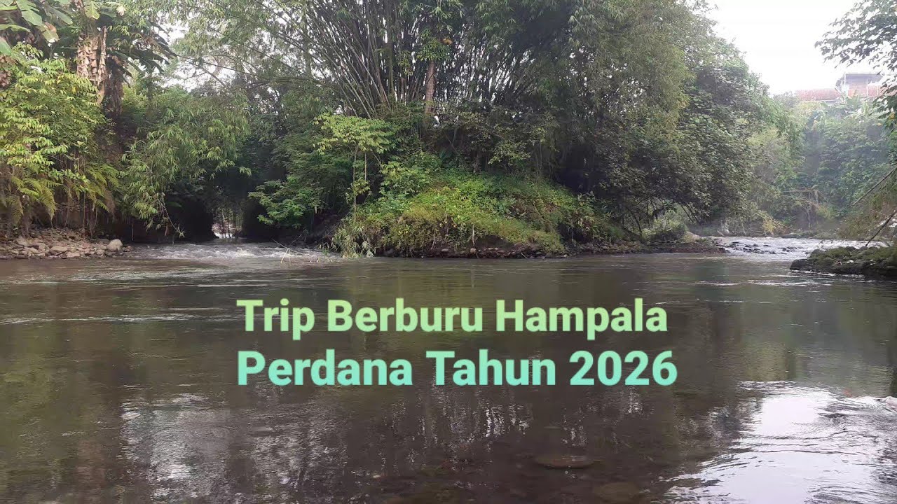 Misi Berburu Hampala Perdana 2026, Sukses‼️