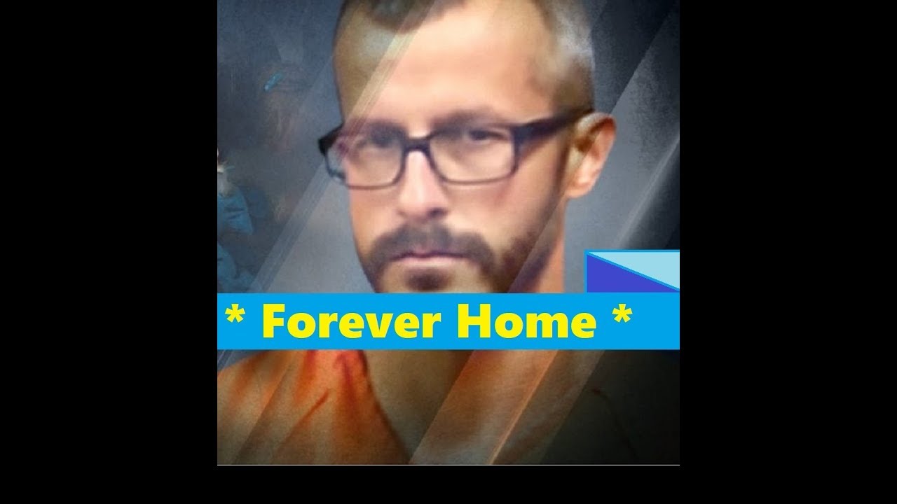 CHRIS WATTS AND HIS FOREVER HOME Plus My Reply To General Comments Left