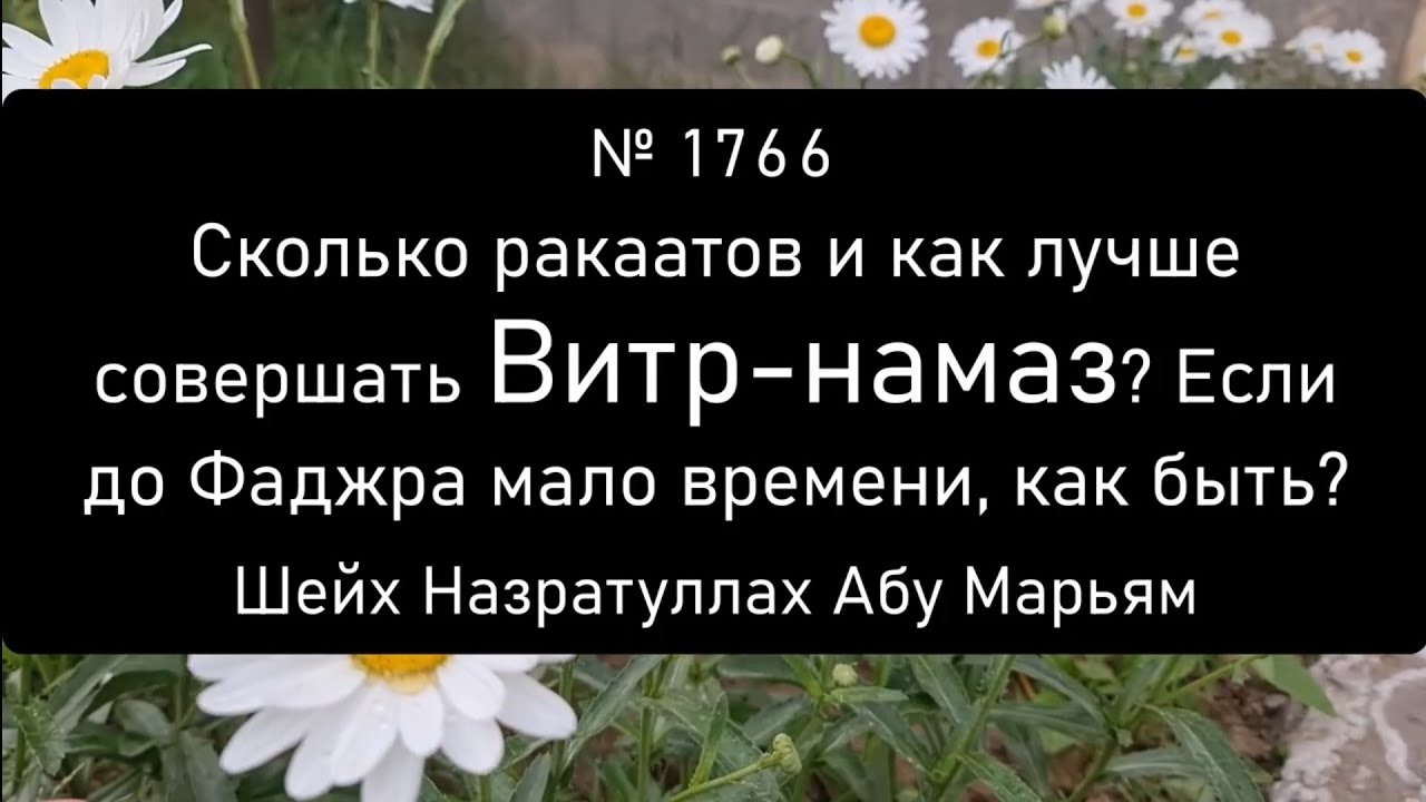 Сколько ракаатов и как лучше совершать Витр-намаз? Если до Фаджра мало времени, как быть?