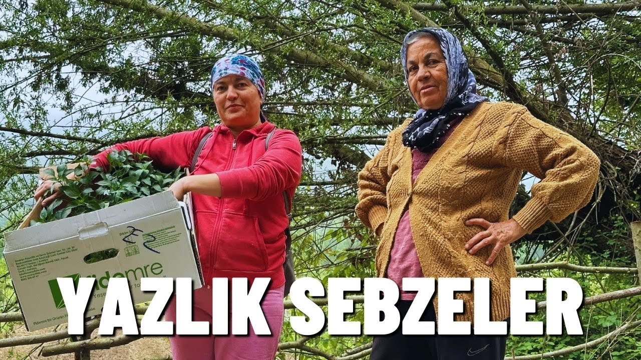 YAZLIK SEBZE DİKİMİ