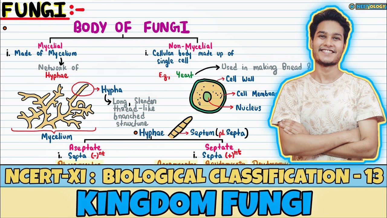Biological Classification| Lec 13- Kingdom Fungi| Class 11| NEET| Neetology