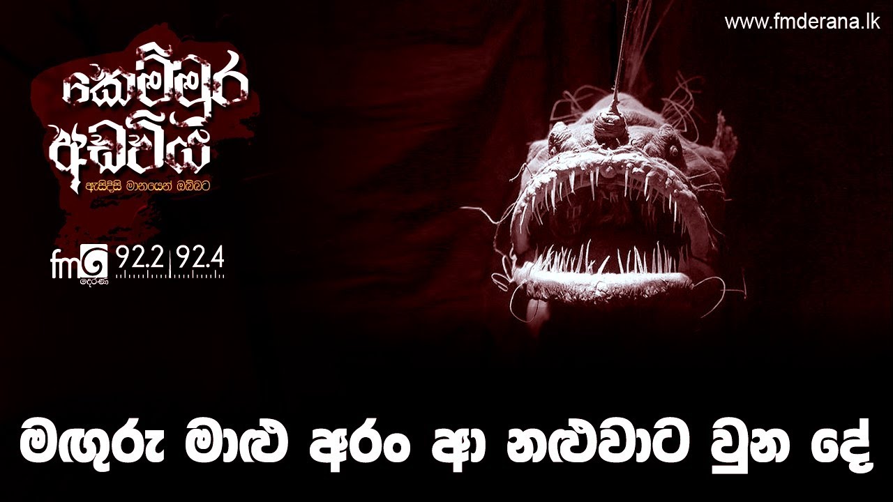 මඟුරු මාළු අරං ආ නළුවාට වුන දේ | Kemmura Adaviya | FM Derana