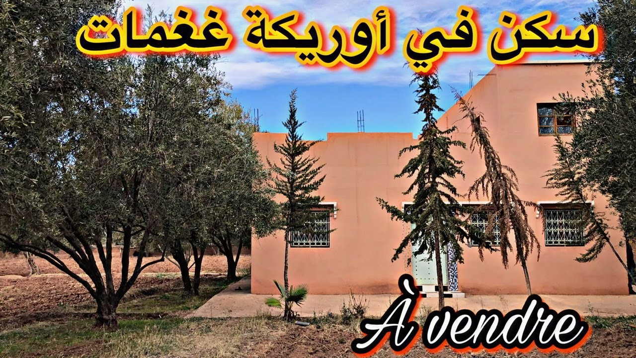 ارض للبيع طريق اريكة غمات 6000 متر ملكية (0611323436)