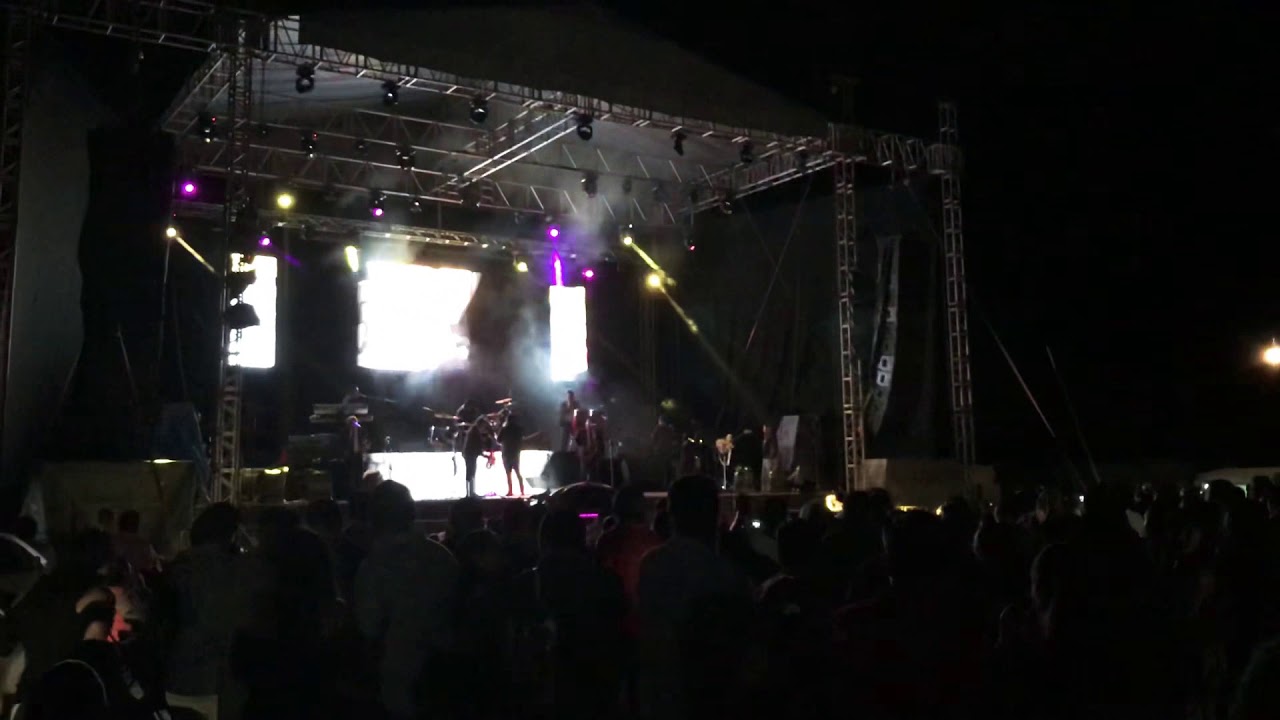 Súper Lamas en la feria de Tekom 2019