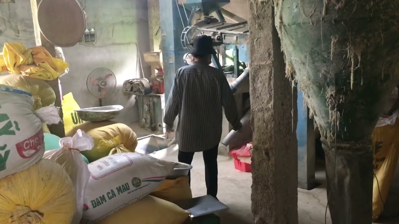 Vlog cuộc sống đời thường