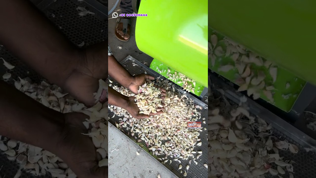 Garlic bulb breaker machine Manufacturers in Coimbatore 📞+91 9447111444