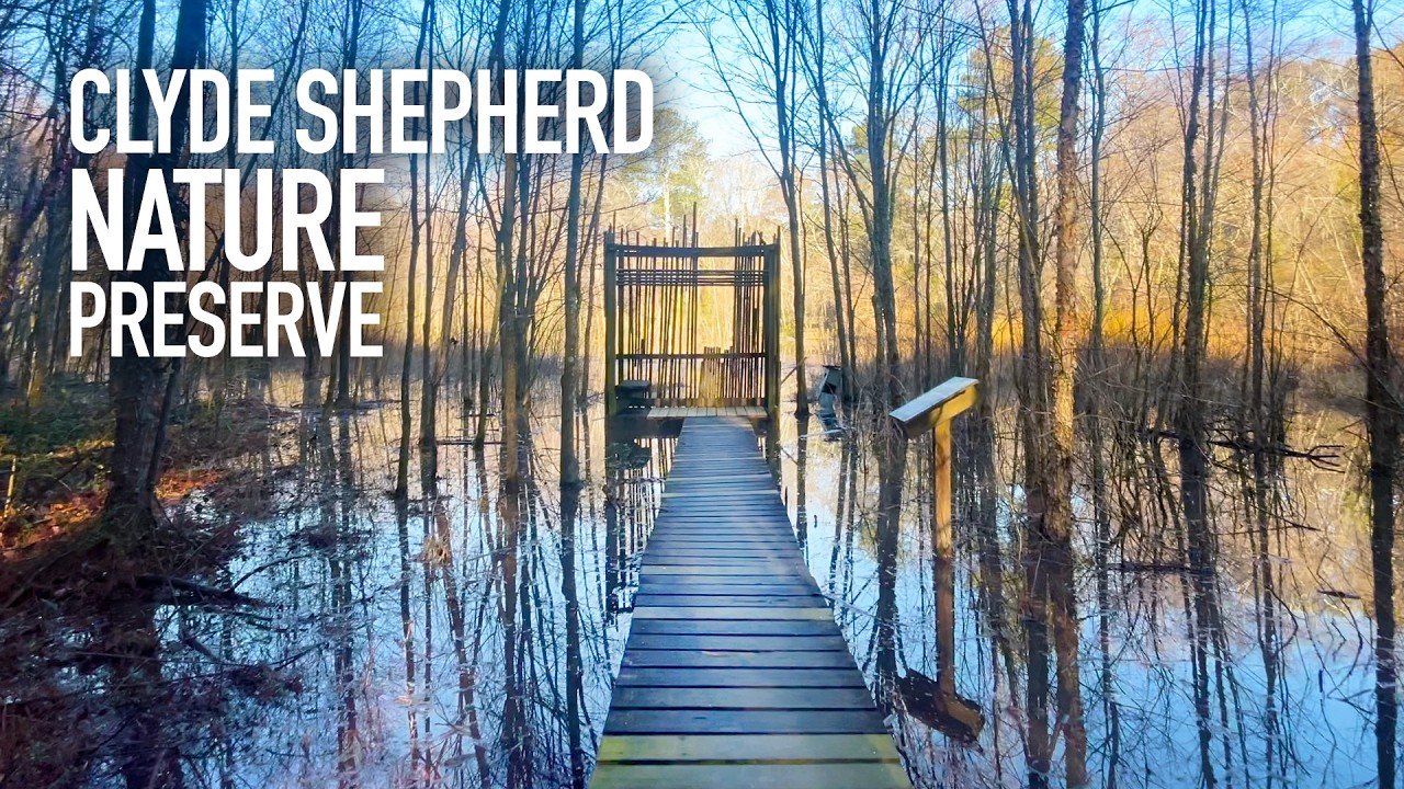 Walk with Mom - Clyde Shepherd Nature Preserve