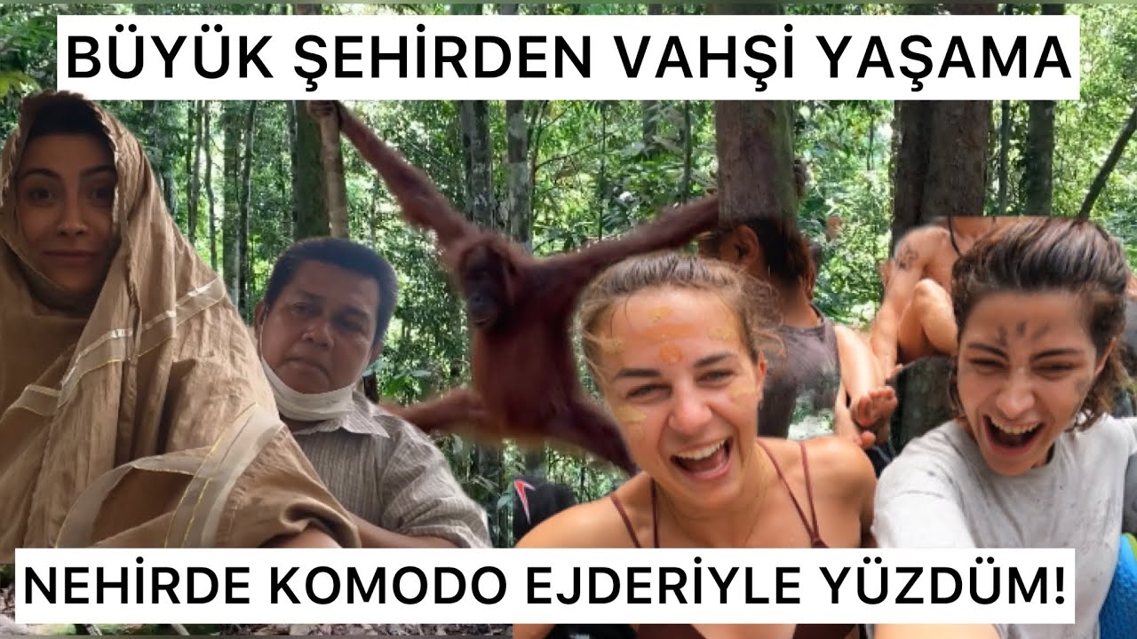 Dünyamızın akciğerleri yağmur ormanları - Bukit Lawang-Gunung Leuser/ ENDONEZYA - 4