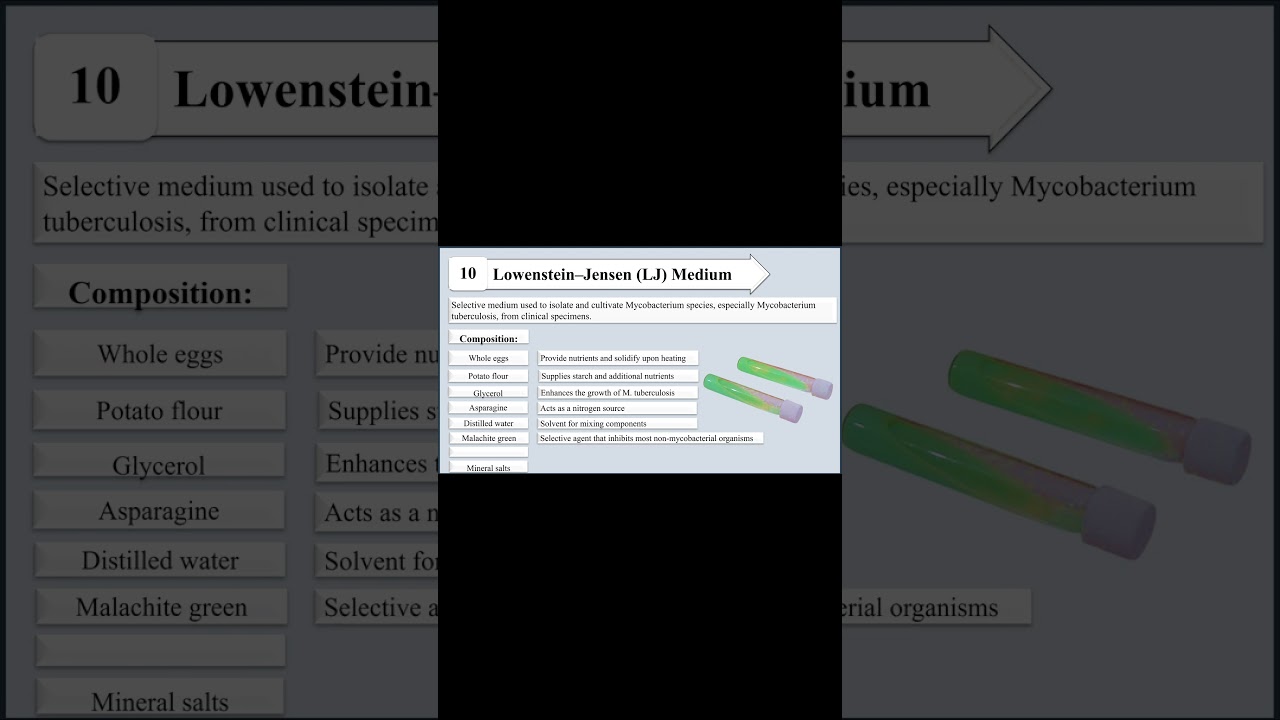 Lowenstein Jensen  (LJ) Medium I Purpose and Composition I Selective Media I Bacterial Culture Media