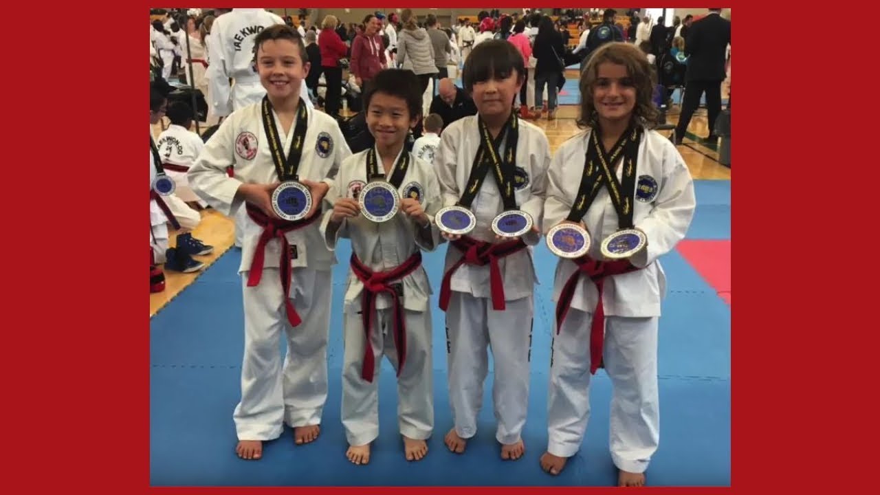 Pro Martial Arts Taekwon-Do - Mississauga, Toronto GTA