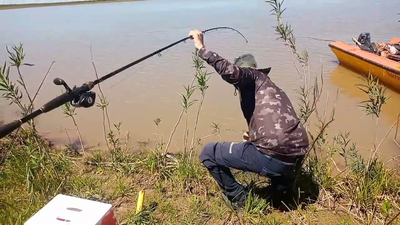 PESCA EN VICTORIA ENTRE RIOS.. Hermosos bagres laguneros salieron 🎣🎣🎣